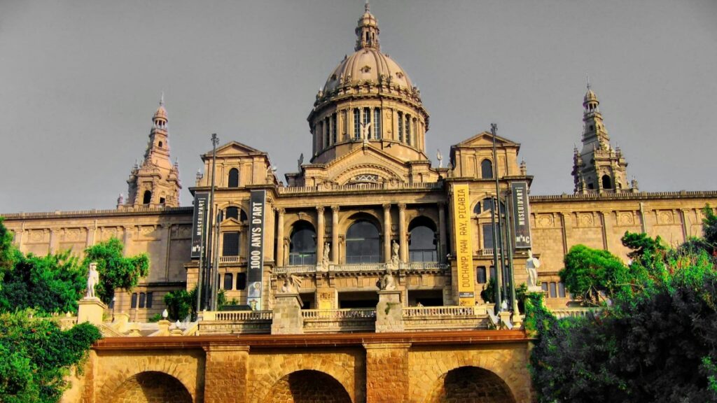 Comment les blogueurs TikTok du Cameroun collaborent avec les annonceurs chinois en 2025