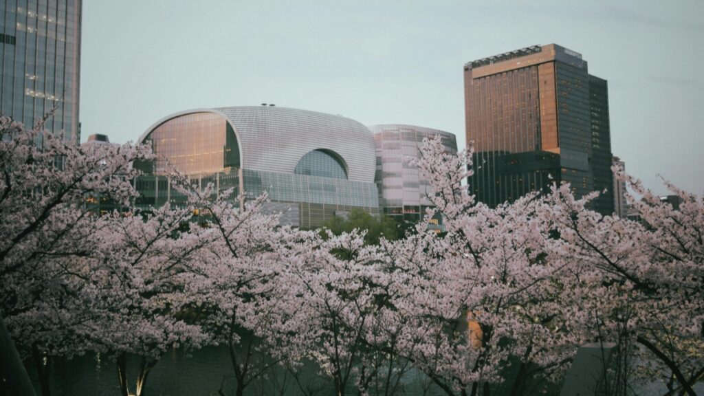 Comment les youtubeurs camerounais peuvent collaborer avec les annonceurs néerlandais en 2025