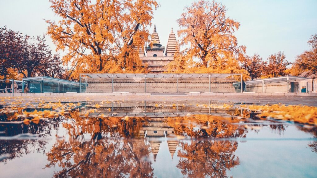 Comment les blogueurs WhatsApp au Cameroun collaborent avec les annonceurs du Congo en 2025