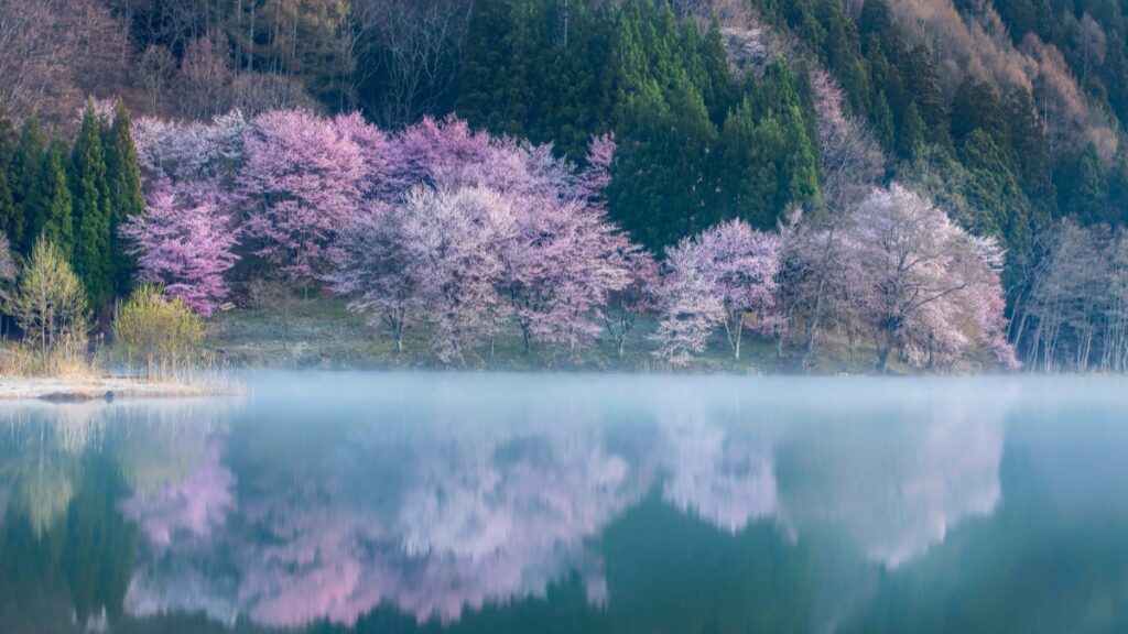 How Cameroon Snapchat bloggers can collaborate with Morocco advertisers in 2025