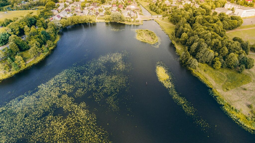 Comment les blogueurs Pinterest du Cameroun collaborent avec les annonceurs du Tchad en 2025