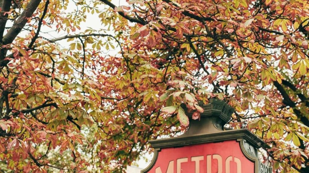 2025 Nigeria LinkedIn AllCategory Advertising Rate Card pour Cameroon