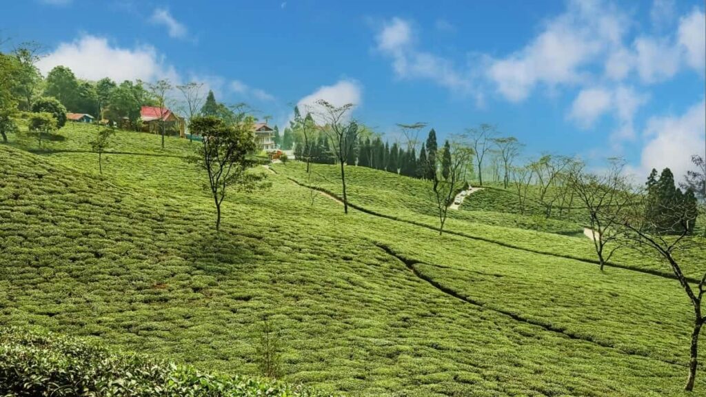 2025 Russia Snapchat All-Category Advertising Rate Card pour Cameroon