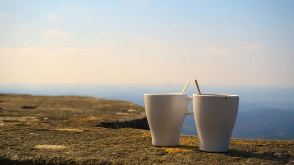 2025 Algeria Instagram AllCategory Advertising Rate Card pour Cameroon