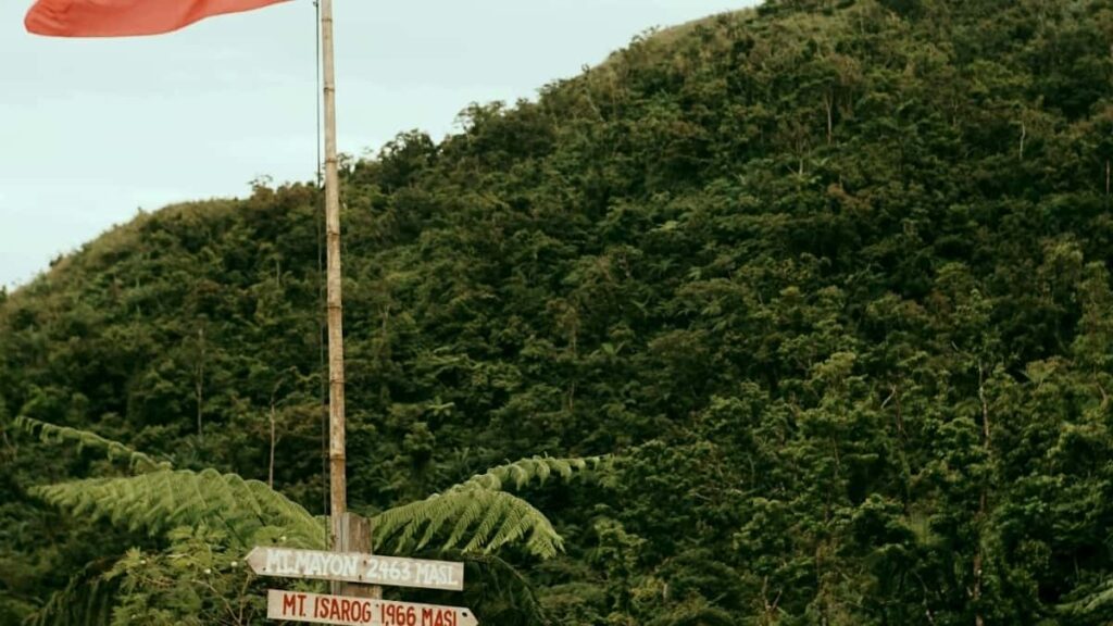 Tarif Publicitaire YouTube Chine 2025 pour Marché Cameroon