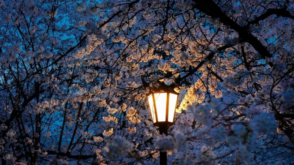 2025 Switzerland Instagram Tarif Publicitaire Toutes Catégories