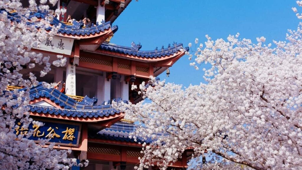 2025 Italy WhatsApp All Category Advertising Rate Card pour Cameroon