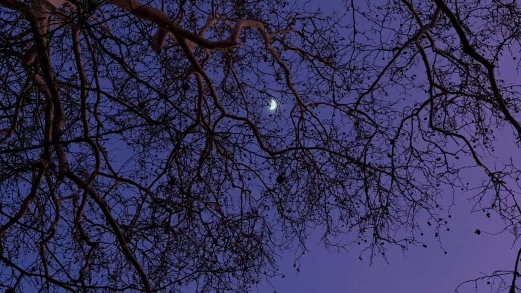 2025 South Korea WhatsApp Advertising Rate Card pour Cameroon