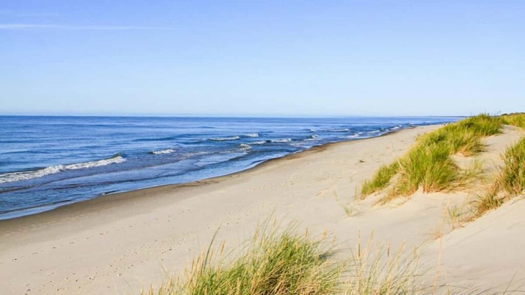 2025 Norway Pinterest Tarifs Publicitaires Tous Catégories