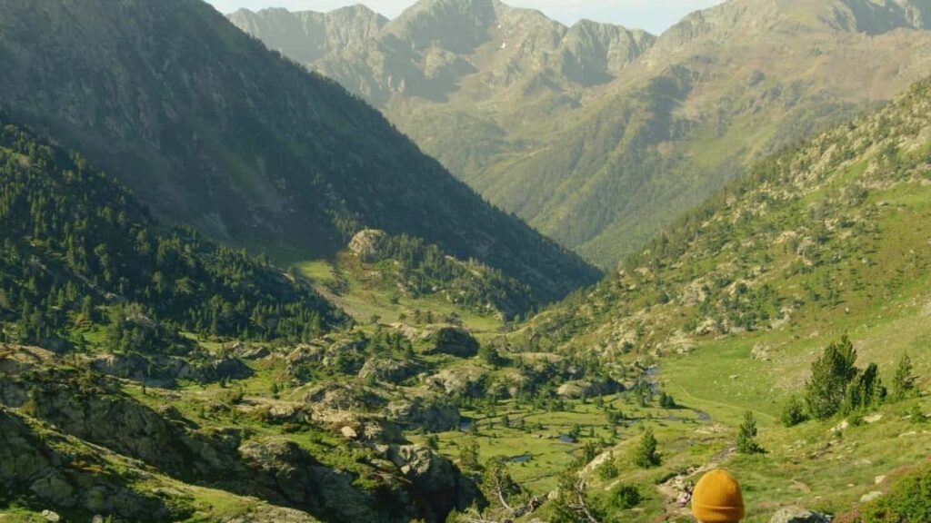 2025 Algeria TikTok Tarif Publicitaire Tous Catégories