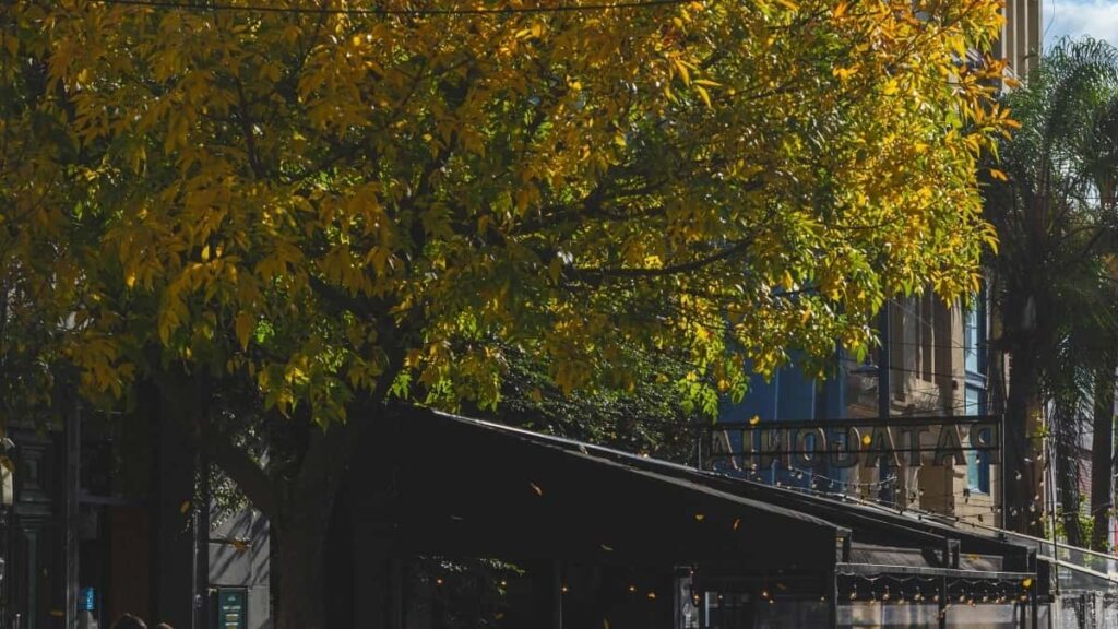 2025 Sweden Instagram Tarifs Publicitaires Tous Secteurs