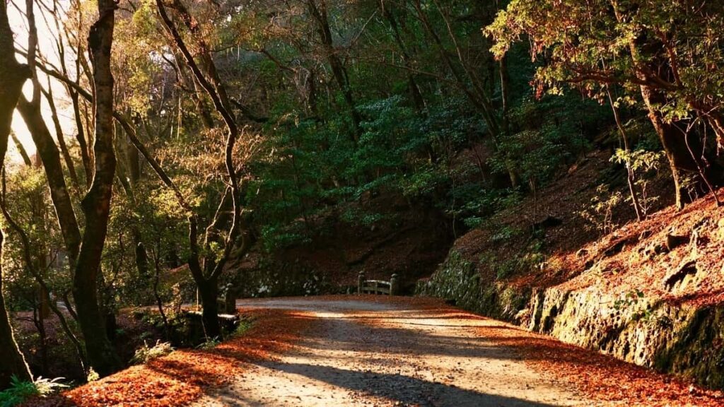 Comment les blogueurs WhatsApp du Cameroun collaborent avec les annonceurs en Tunisie en 2025