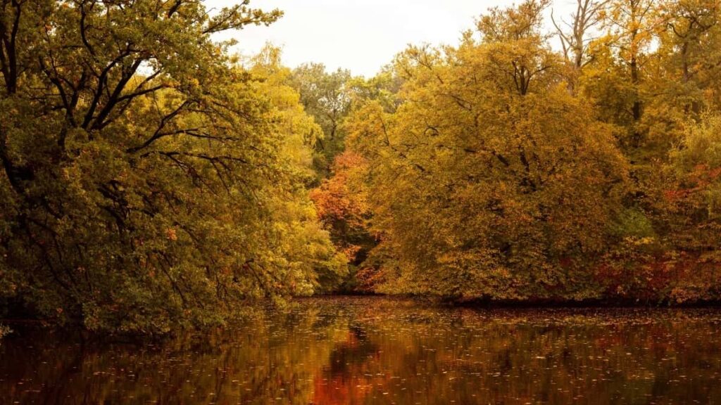 2025 Italy WhatsApp tarifs pub complets pour Cameroon