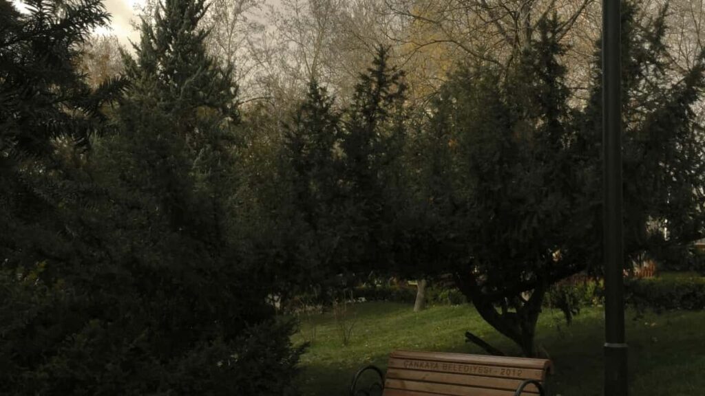 2025 India Instagram AllCategory Advertising Rate Card pour Cameroon