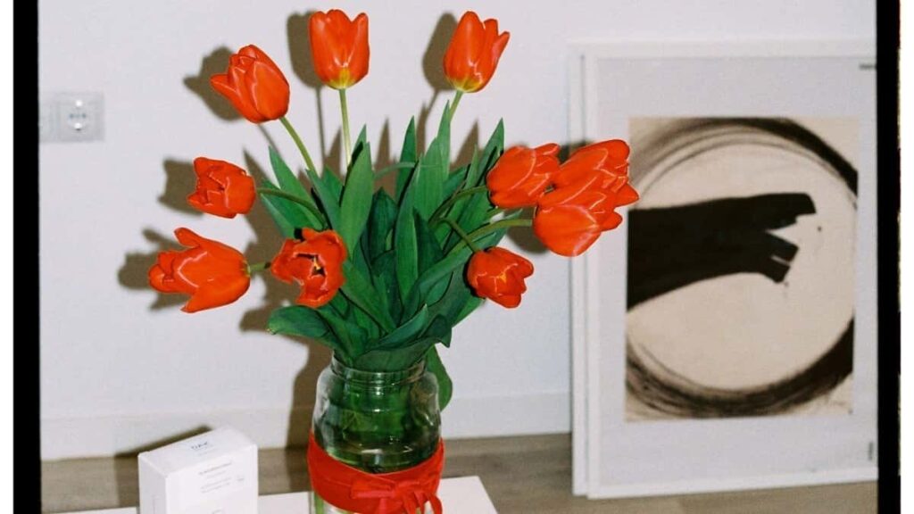 Comment les blogueurs Telegram camerounais collaborent avec des annonceurs espagnols en 2025