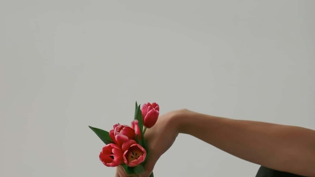 2025 Saudi Arabia Facebook Tarifs Publicitaires Tout Catégorie