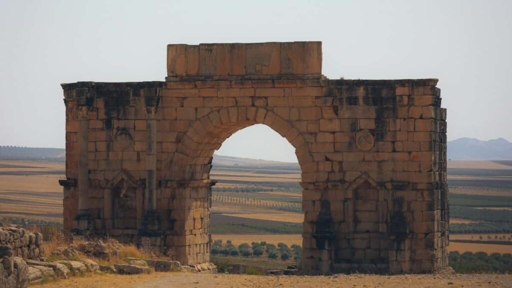 2025 Nigeria Instagram AllCategory Advertising Rate Card pour Cameroon