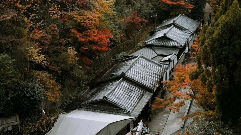 2025 Russia Snapchat Tarif Publicitaire Complet Pour Cameroon