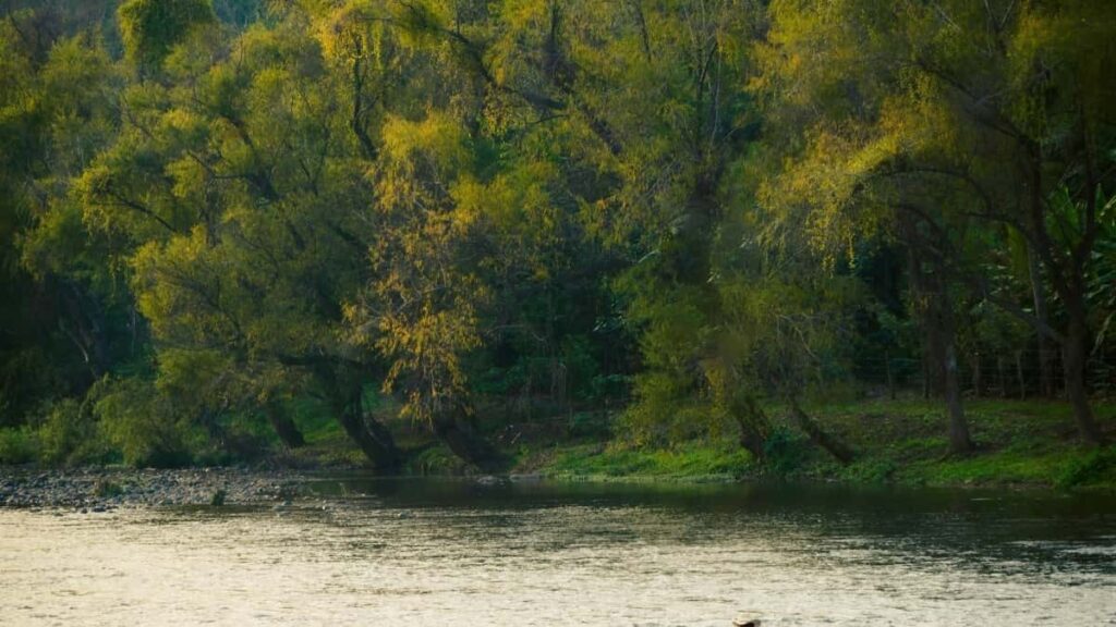 2025 Saudi Arabia Snapchat AllCategory Advertising Rate Card pour Cameroon