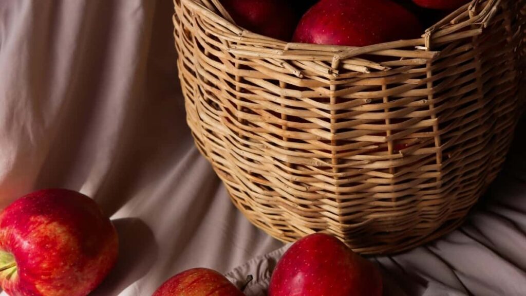 Tarifs Publicitaires YouTube Arabie Saoudite 2025 Pour Cameroon