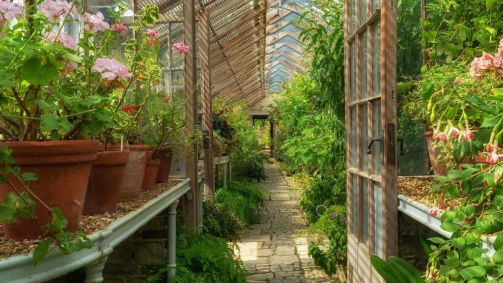 2025 Sweden WhatsApp publicité tarifs pour Cameroon