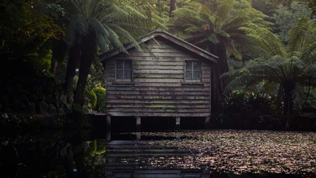 2025 South Korea Twitter Tarifs Publicitaires pour Cameroon