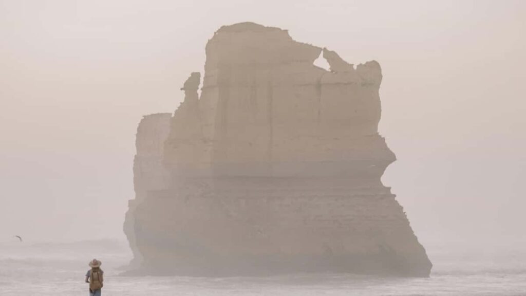 2025 Portugal Snapchat Tarifs Publicitaires Pour Le Marché Camerounais