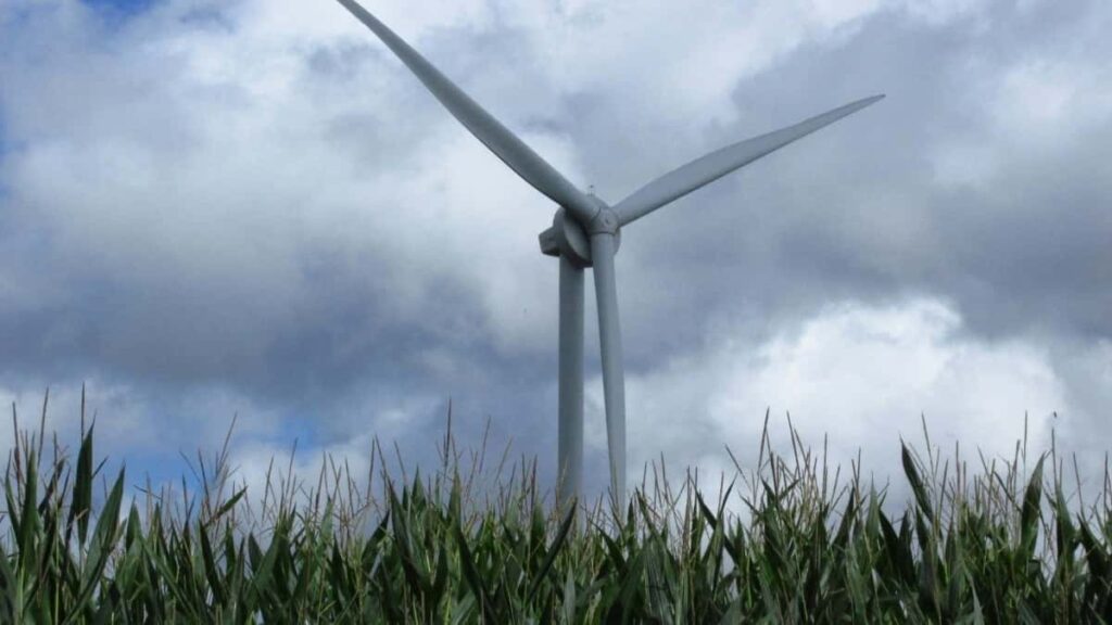 2025 South Africa YouTube AllCategory Advertising Rate Card pour Cameroon