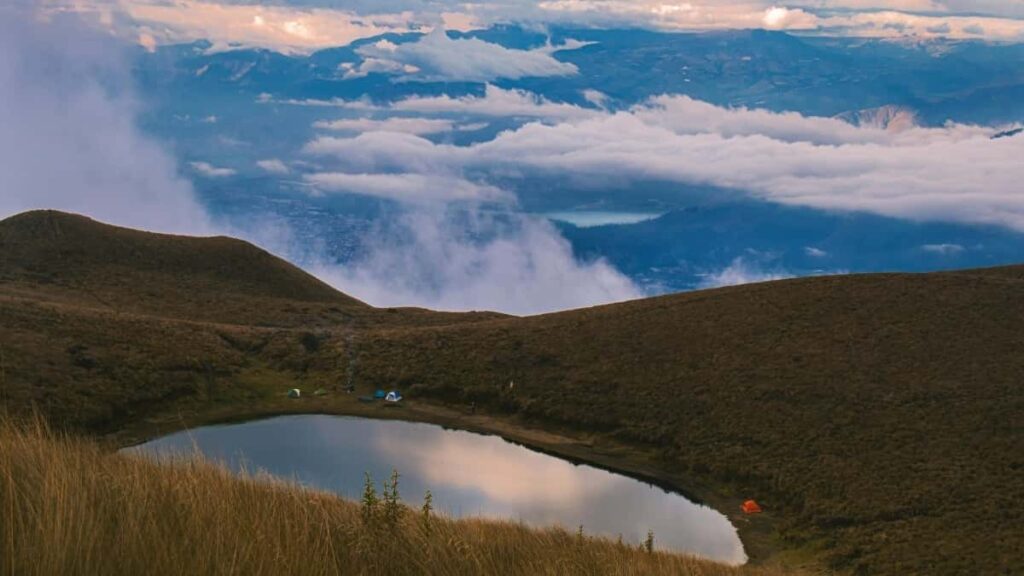 2025 Egypt YouTube AllCategory Advertising Rate Card pour Cameroon