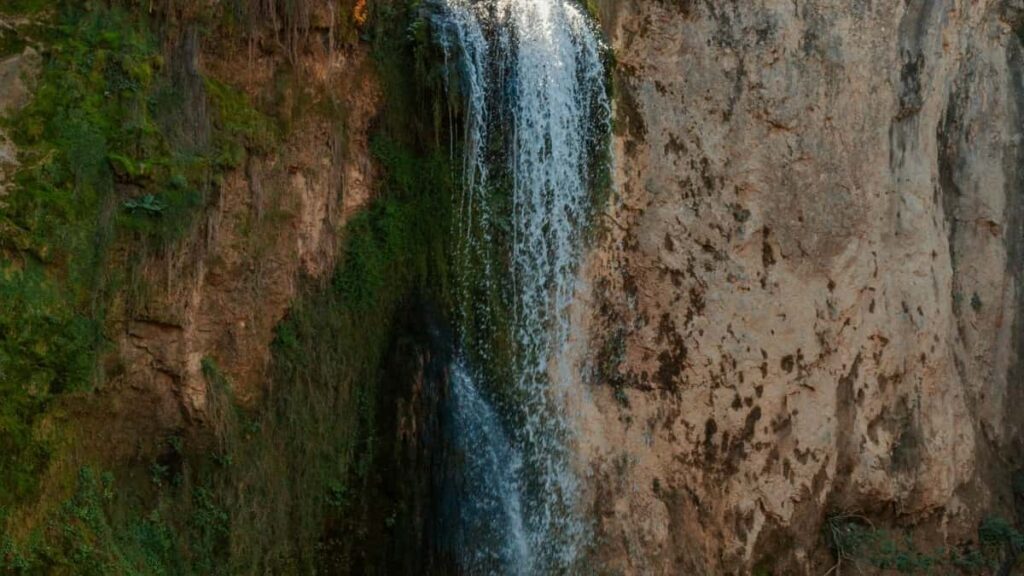 2025 Germany Telegram Tarif Publicitaire Complet pour Cameroon