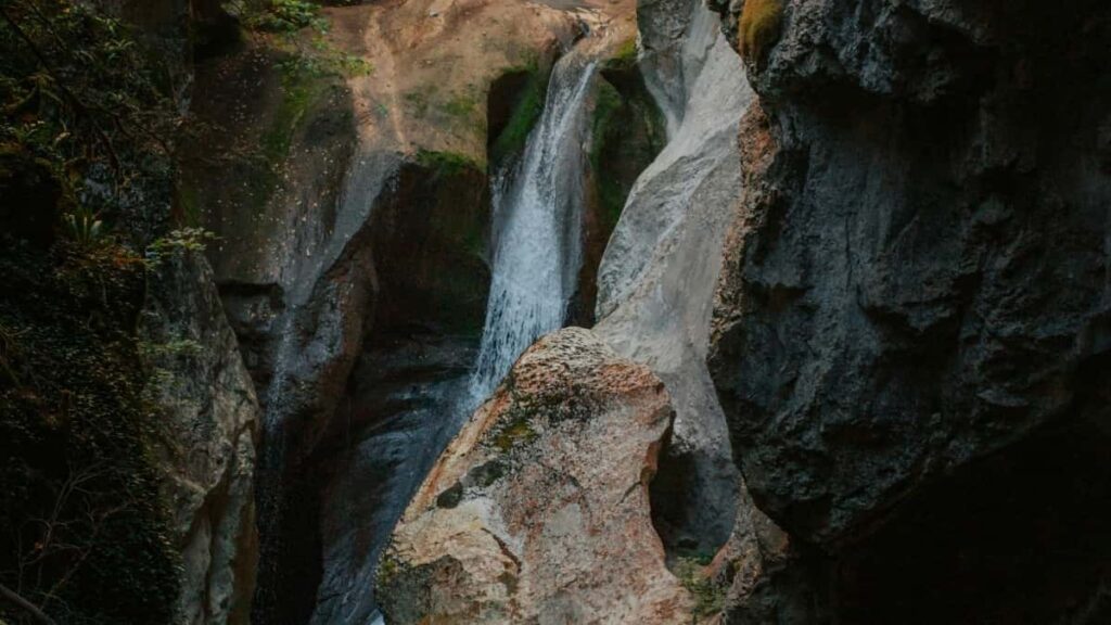 2025 China TikTok Tarifs Publicitaires Tout Catégorie au Cameroon