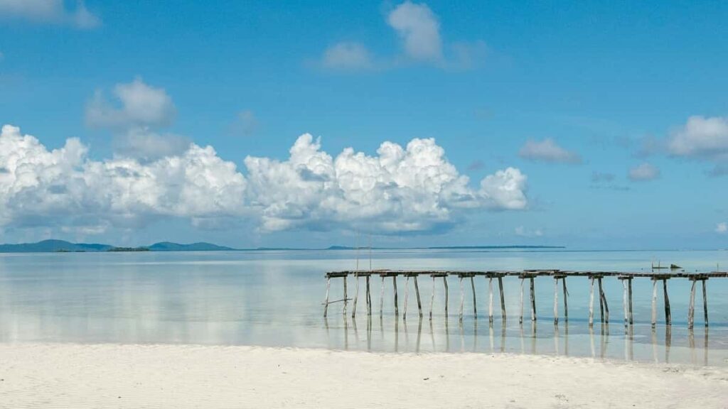 Tarifs Publicitaires YouTube Émirats Arabes Unis 2025 Cameroun