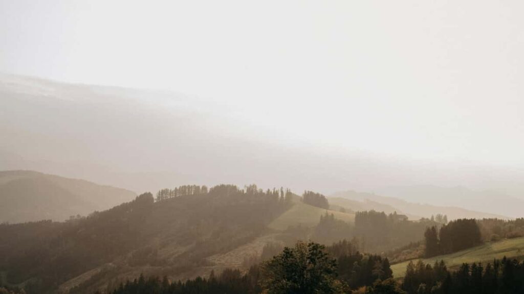 2025 China Telegram Tarifs Publicitaires pour le Marché Camerounais