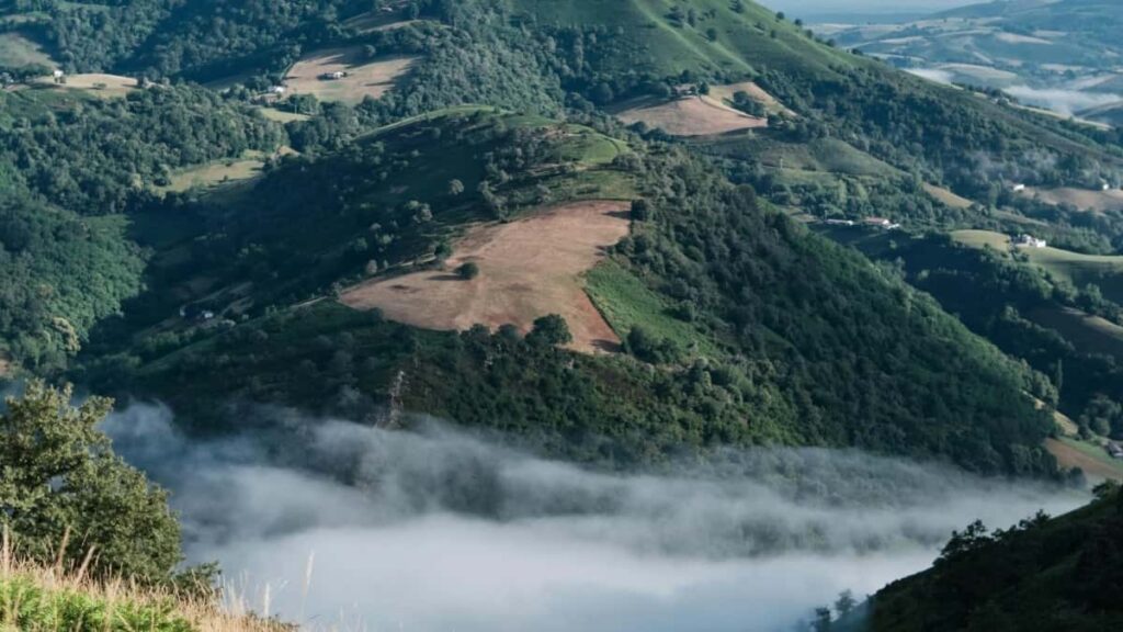 Tarifs Publicitaires TikTok 2025 au Nigeria pour Cameroun