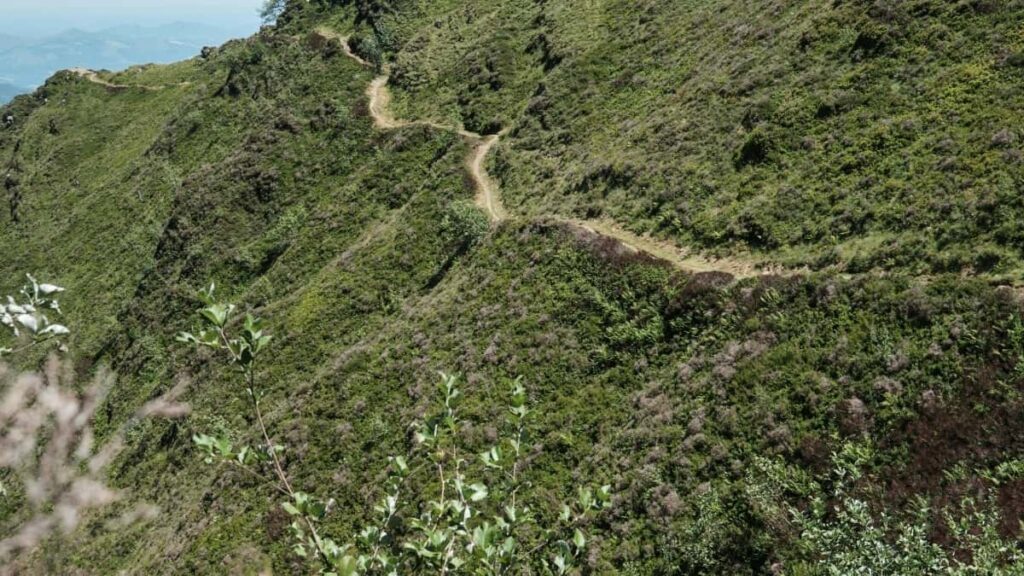 2025 Algeria Pinterest Tarifs Publicitaires pour le Marché Camerounais