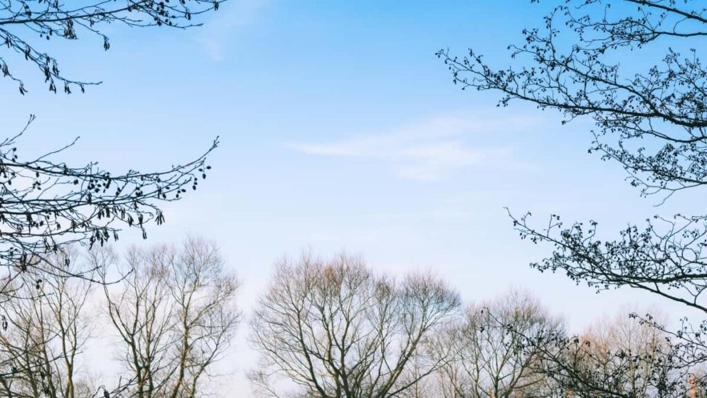 2025 Morocco Facebook AllCategory Advertising Rate Card pour Cameroon