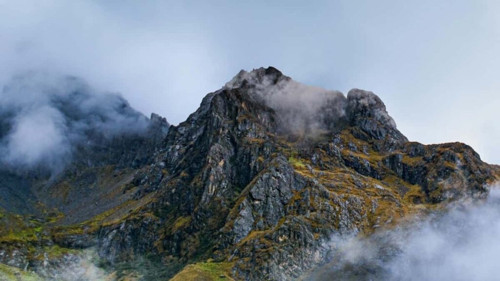 2025 Egypt Snapchat AllCategory Advertising Rate Card pour Cameroon