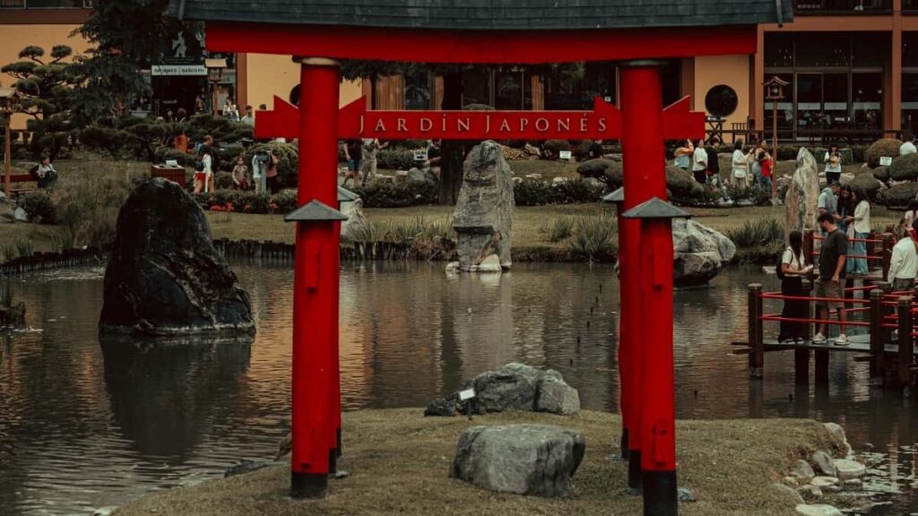 Taux Publicitaires YouTube Chine 2025 Pour Le Marché Camerounais