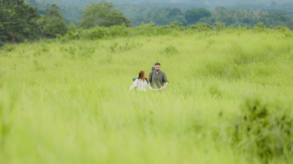 Tarifs publicitaires LinkedIn Suède 2025 pour annonceurs camerounais