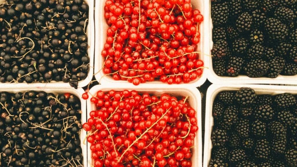 2025 Indonésie TikTok Tarifs Publicitaires Toutes Catégories