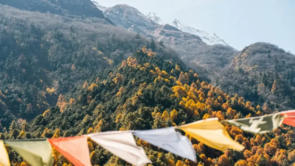 Conseils pratiques pour créateurs camerounais sur Etsy : comment ajouter des captions courtes inspirées d'Israël pour booster vos ventes.