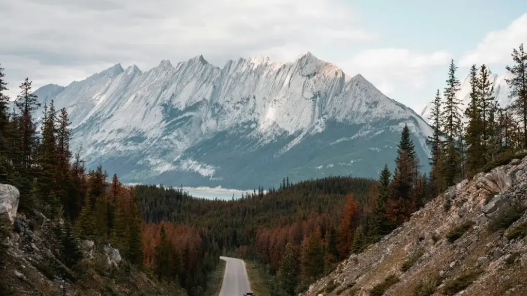 Découvrez comment les marques au Cameroun peuvent exploiter Discord et les sponsors bulgares pour dynamiser leurs posts sur les réseaux sociaux.