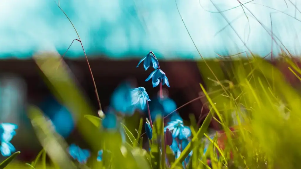 Apprends à capter l’attention des marques nigérianes sur Roposo et décroche des contrats de sponsoring rémunérés.