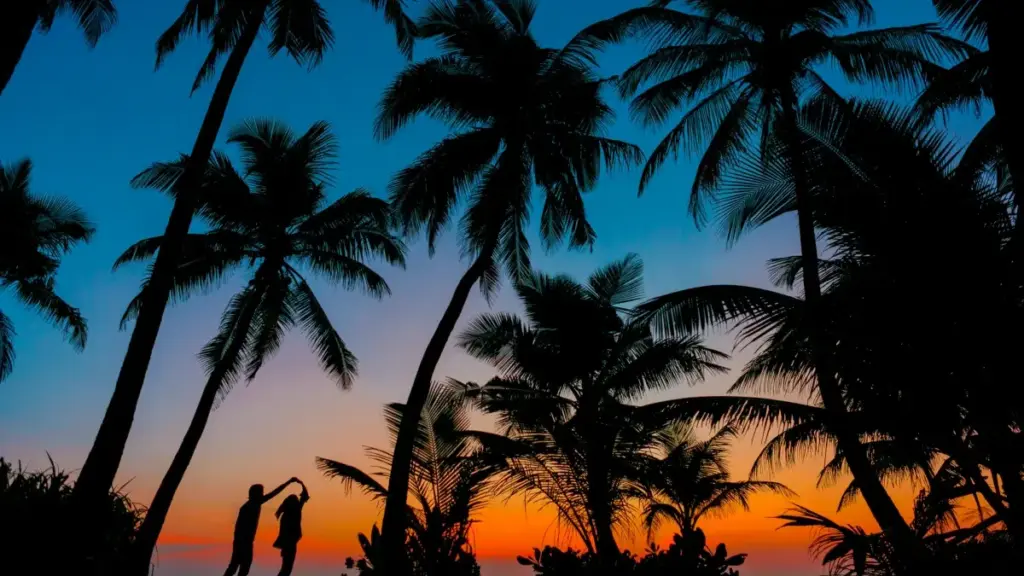 Découvrez comment les annonceurs camerounais peuvent identifier et collaborer avec les créateurs TikTok péruviens pour maximiser la visibilité des destinations voyage.