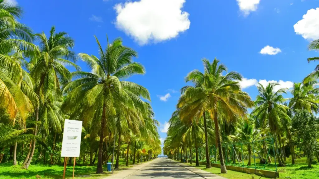 Découvrez comment les créateurs au Cameroun peuvent atteindre les marques mongoles sur Josh pour créer des vidéos de réaction musicale engageantes et authentiques.