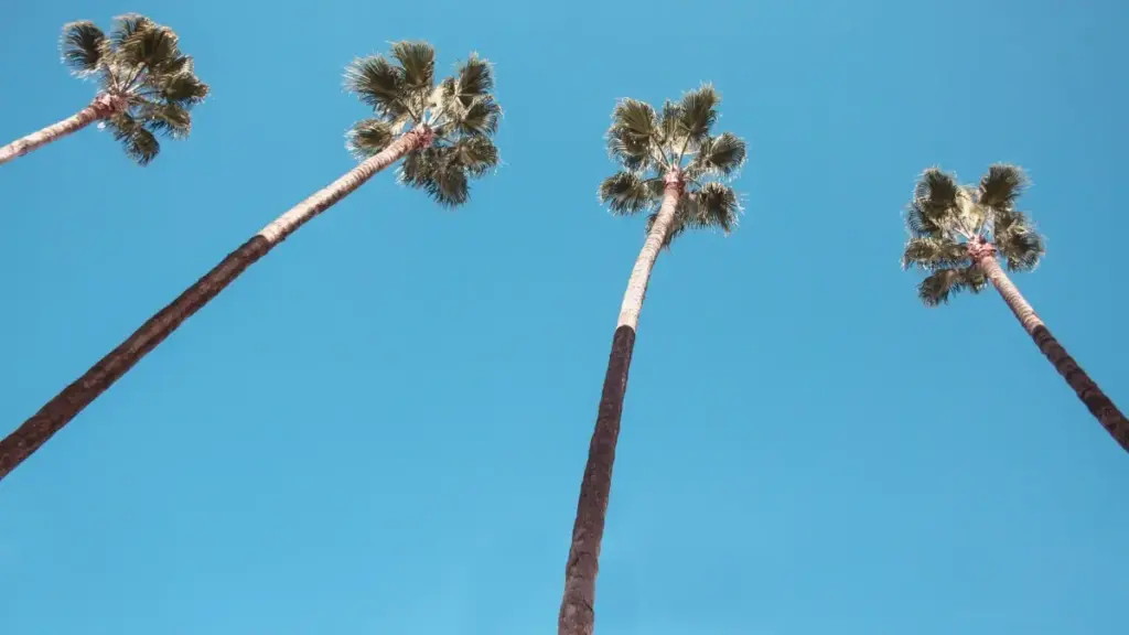 Guide pratique pour annonceurs au Cameroun : comment identifier et engager des créateurs belges actifs sur KakaoTalk pour booster votre notoriété mondiale.