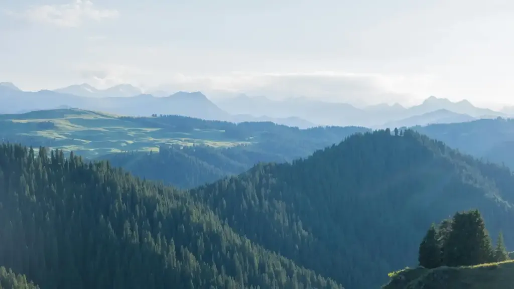 Guide pratique pour annonceurs au Cameroun : comment identifier, contacter et collaborer avec des créateurs éthiopiens sur Roposo pour booster l'engagement social.