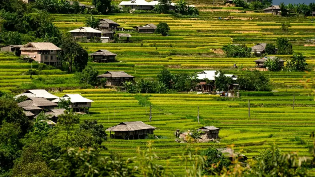 Guide pratique pour annonceurs au Cameroun: comment repérer et engager des créateurs TikTok en Hongrie pour promos saisonnières.