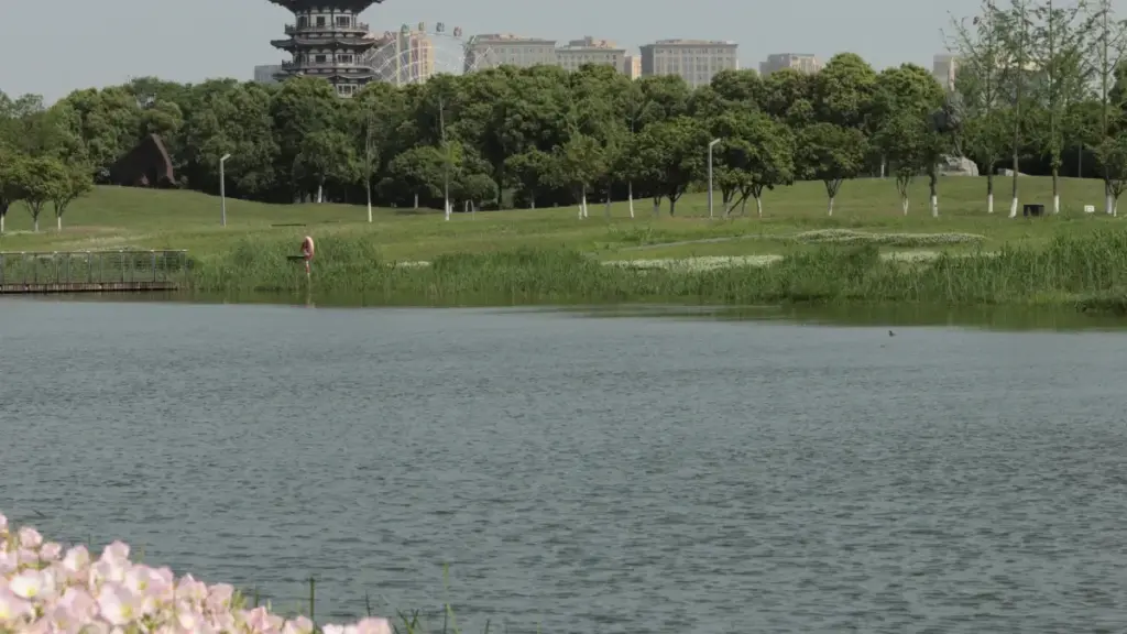 "Guide pratique pour annonceurs au Cameroun: comment identifier et collaborer avec des créateurs YouTube jordaniens pour toucher les fans de musique."