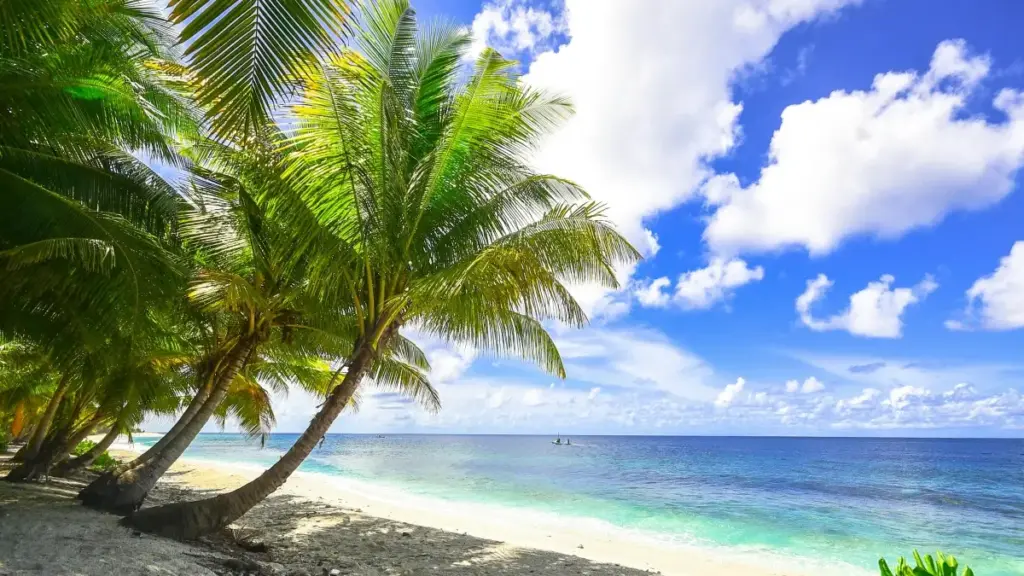 Découvrez comment dénicher les créateurs Discord islandais pour dynamiser vos ventes flash grâce à l'influence locale.